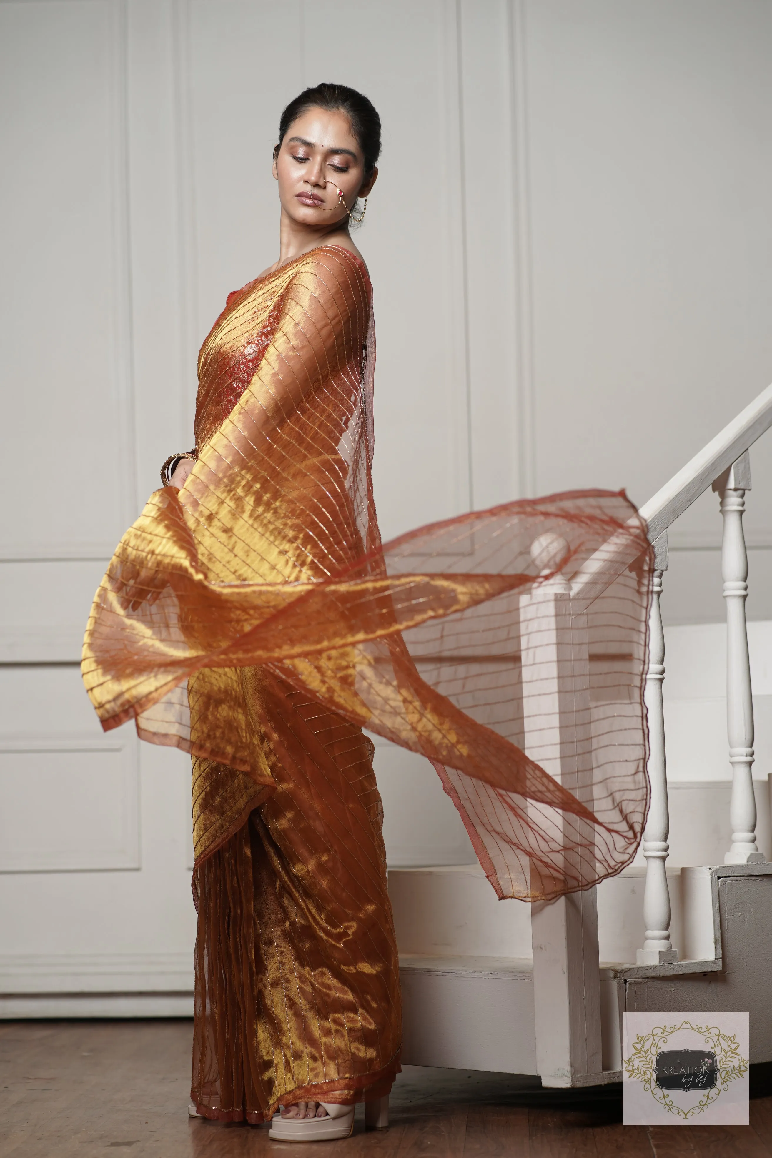 Fiery Gold Tissue Noorani Saree