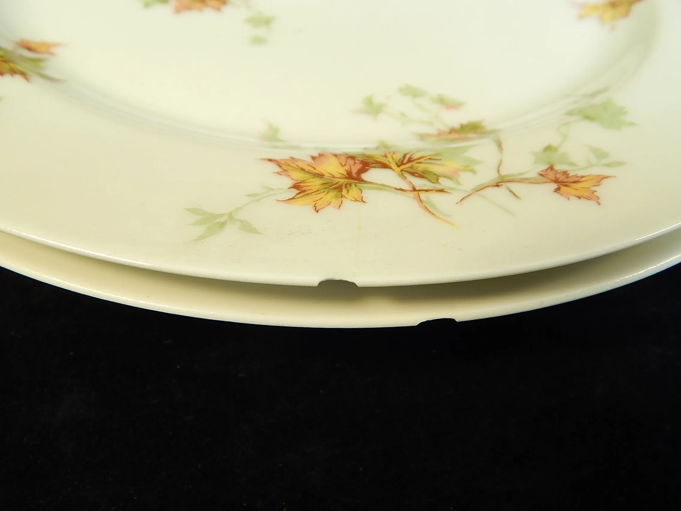 Haviland Limoges Autumn Leaf Plates & Platter - Lot of 7