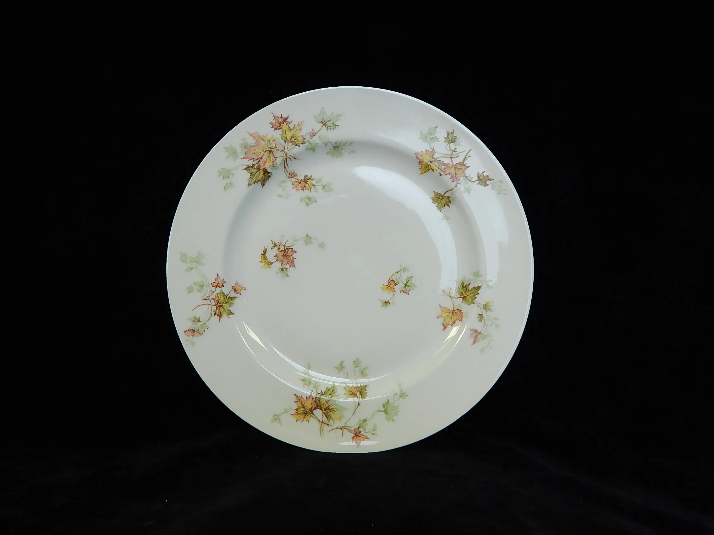 Haviland Limoges Autumn Leaf Plates & Platter - Lot of 7