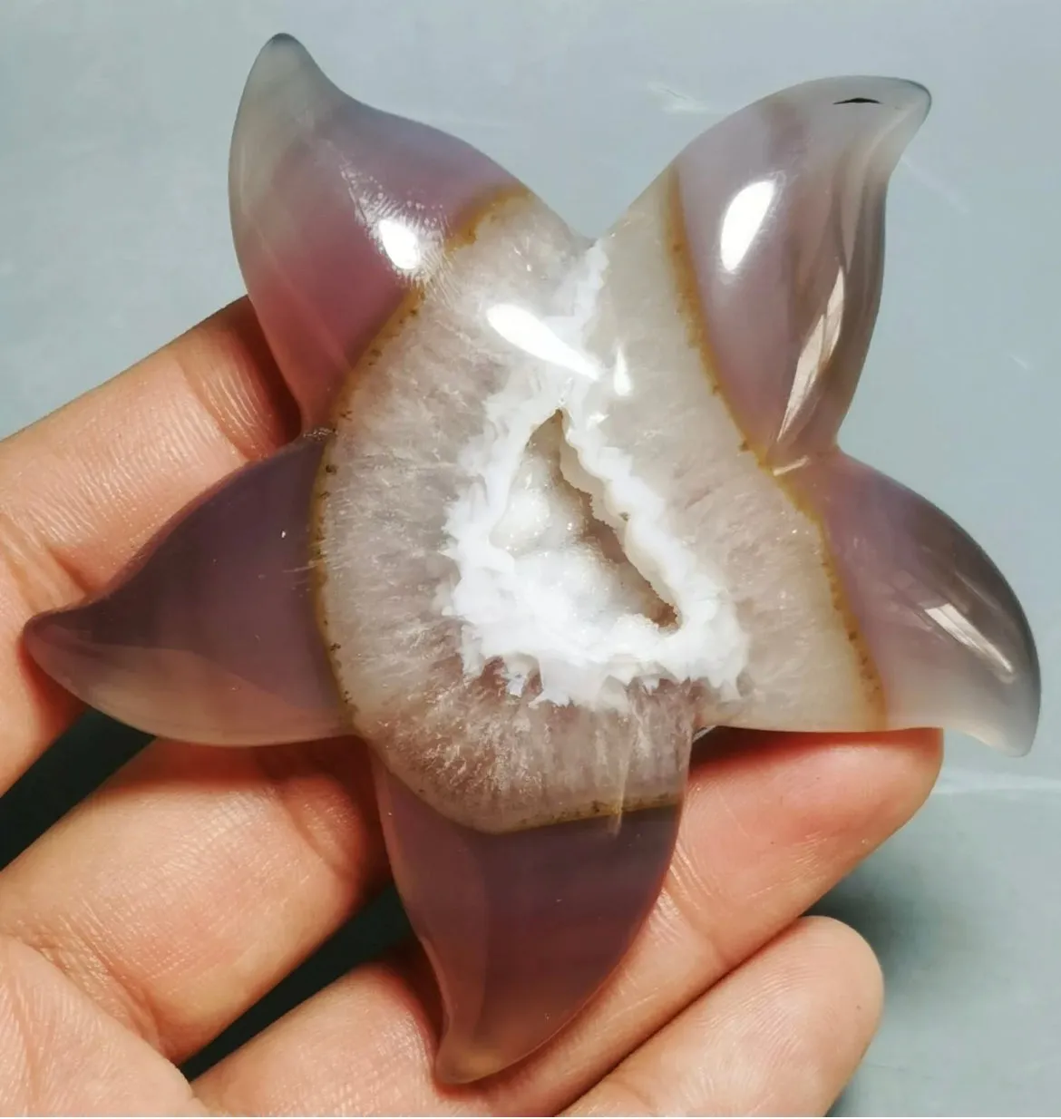 Natural Geode Agate Carved Starfish Crystal