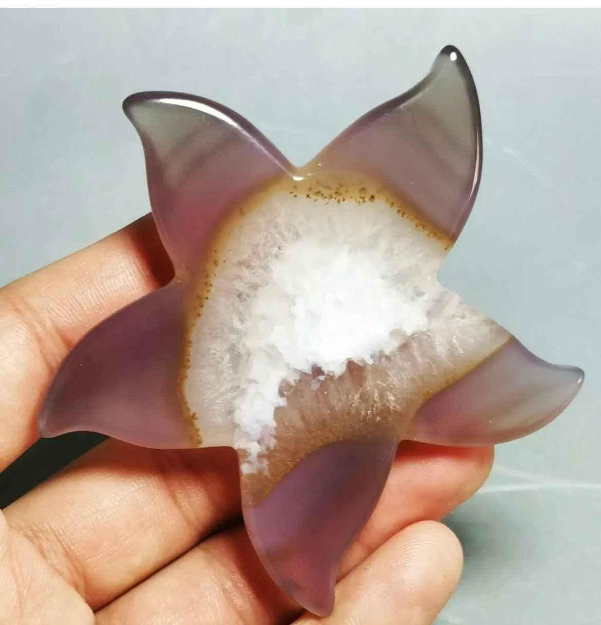 Natural Geode Agate Carved Starfish Crystal