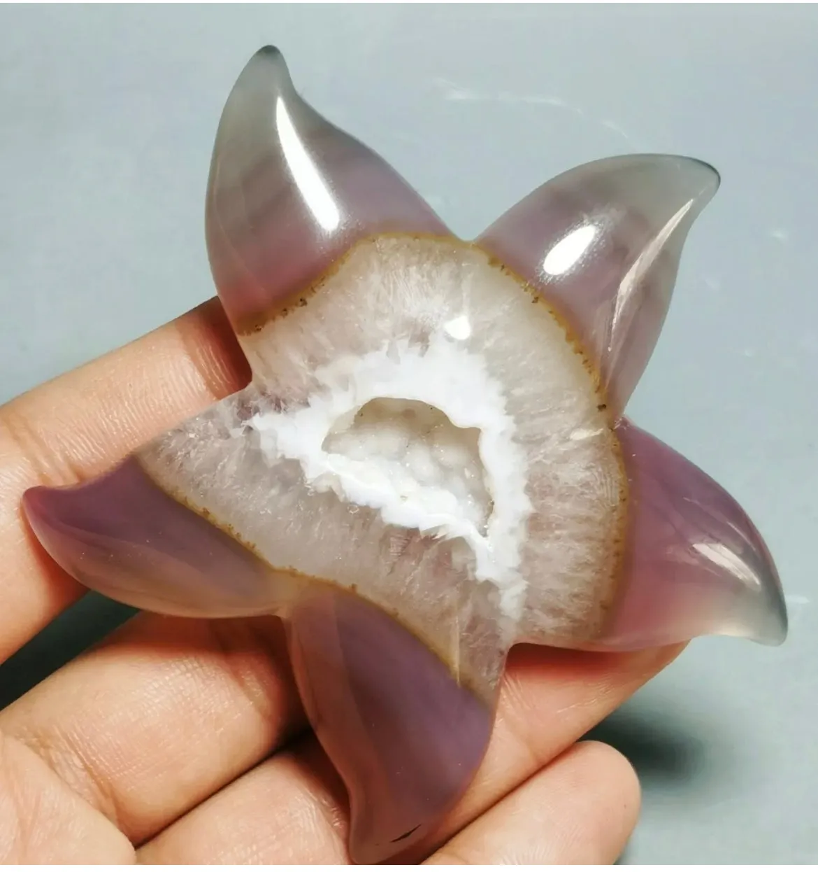 Natural Geode Agate Carved Starfish Crystal