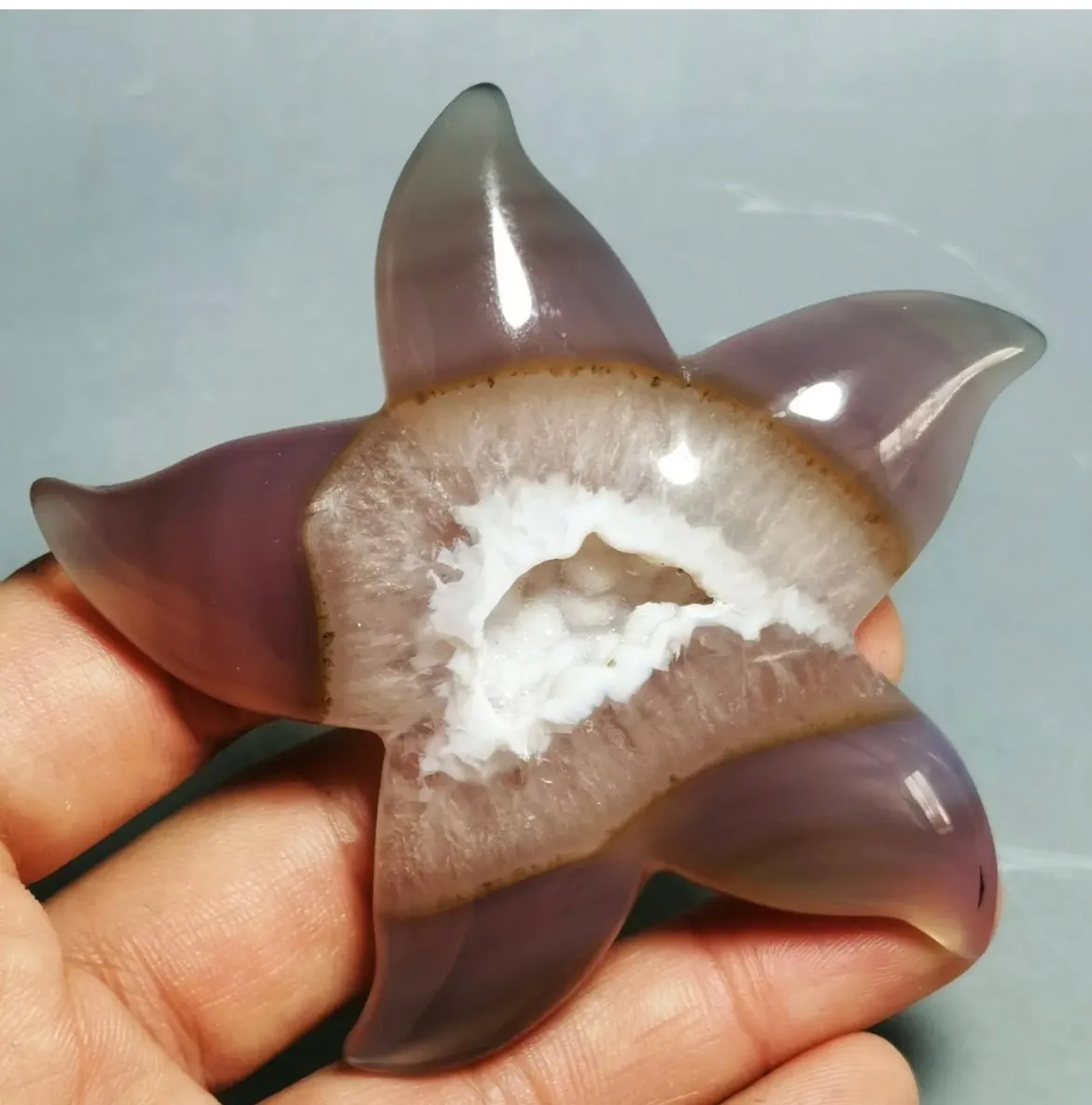 Natural Geode Agate Carved Starfish Crystal