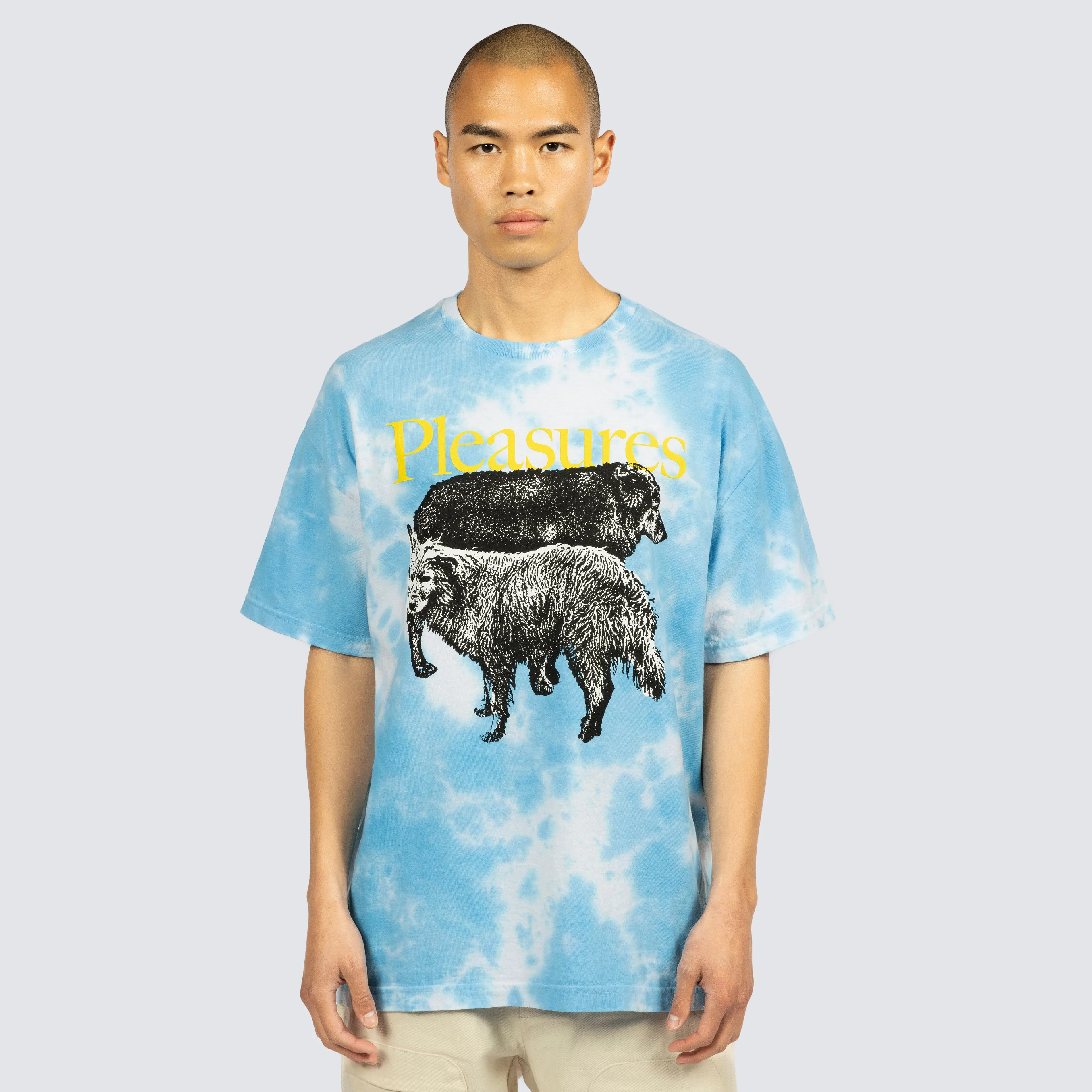 Pleasures Wet Dogs Blue Dye SS Tee